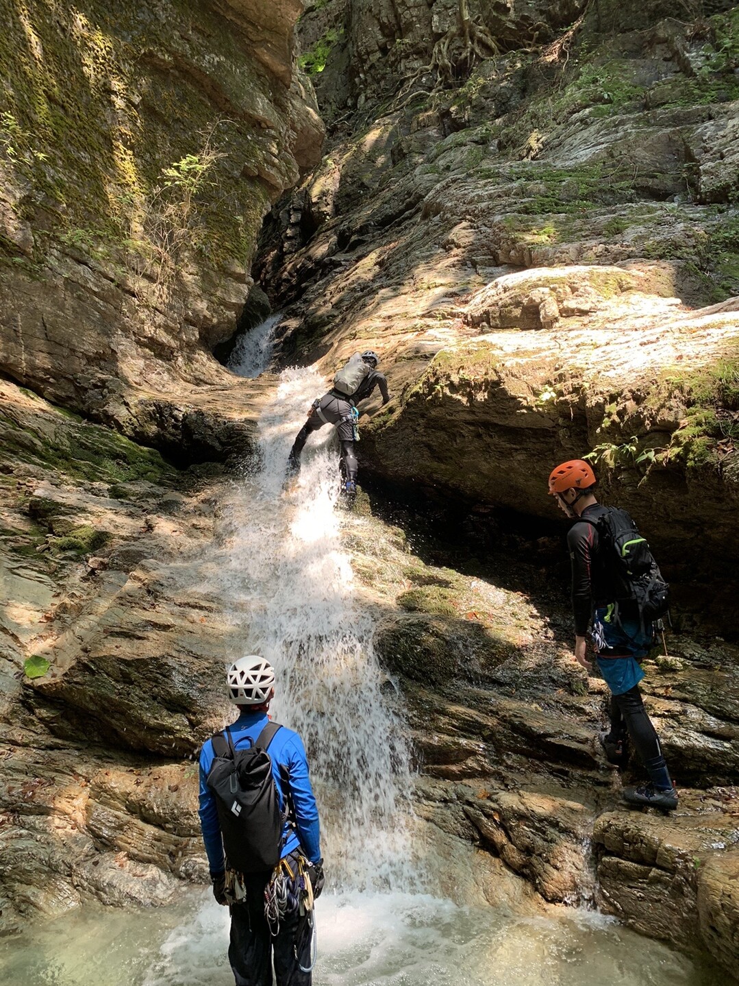 ギフト 渓谷 ＜渓谷溯行資料＞ １〜７巻 西尾寿一編 沢登り 遡行図