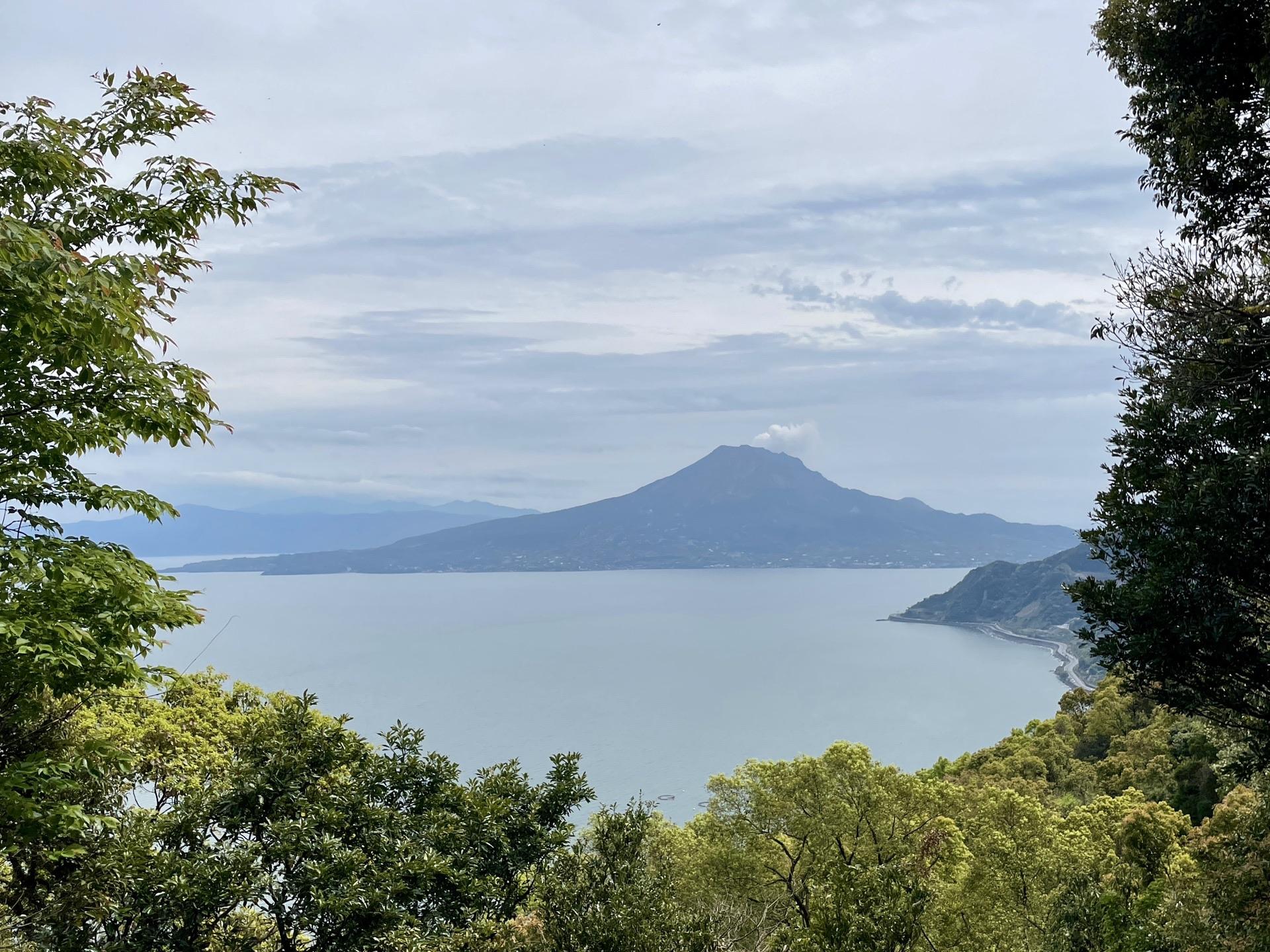 遥かな白銀の山々のふもとのサボテンのある風景 遥かな白銀の山々のふもとのサボテンのある風景 （山と自然）