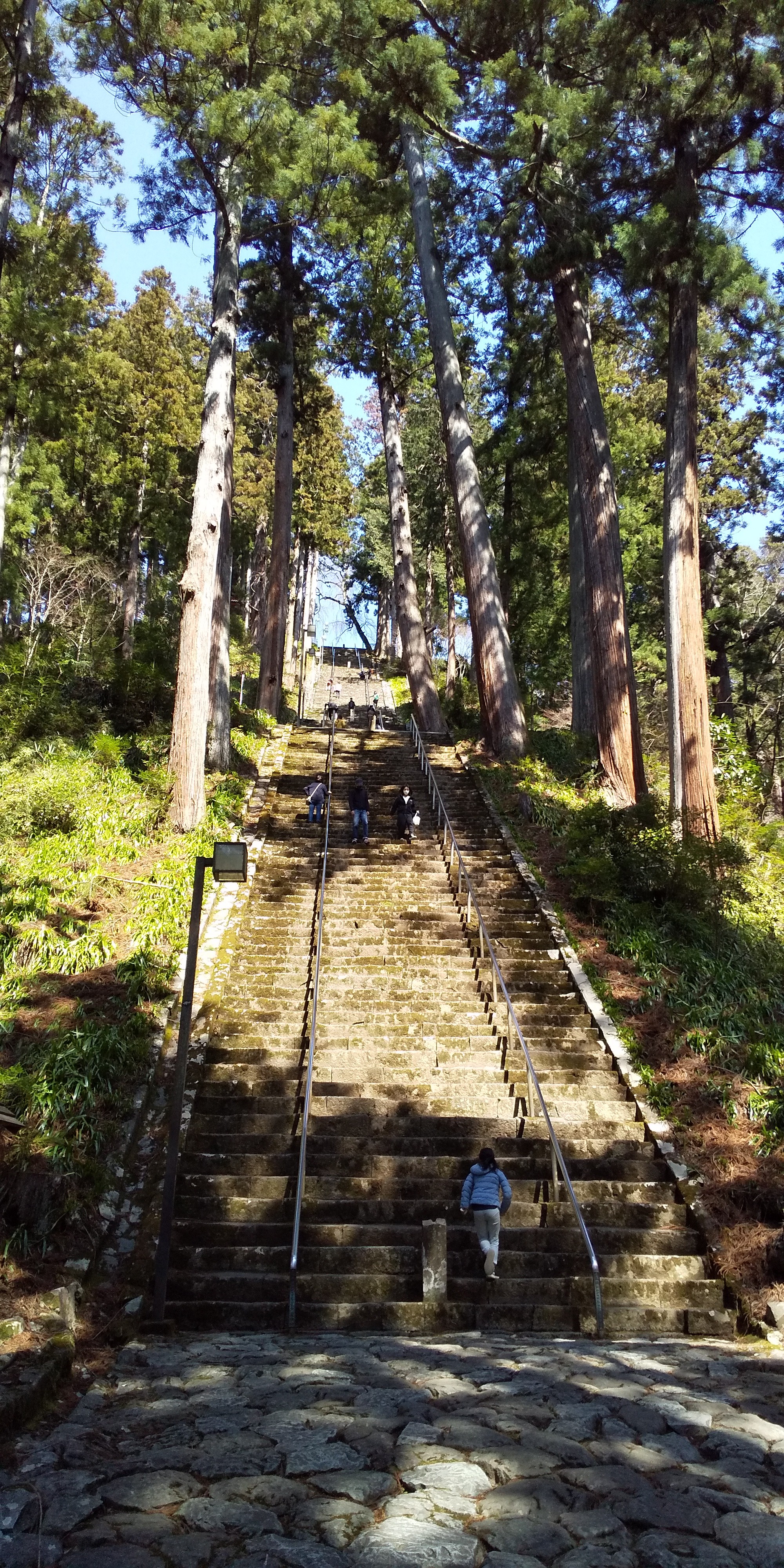 身延山へちょっと寄り道のつもりが マティリアルさんの七面山 身延山の活動日記 Yamap ヤマップ