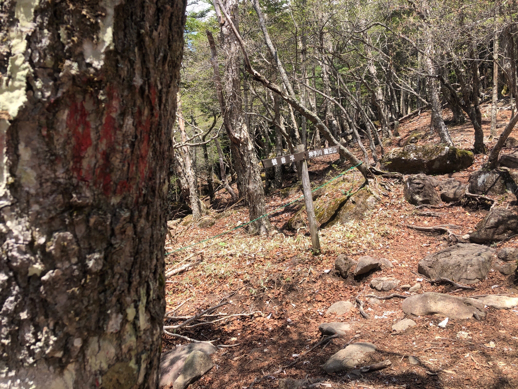 迷いそうな地点には、ロープと案内板。