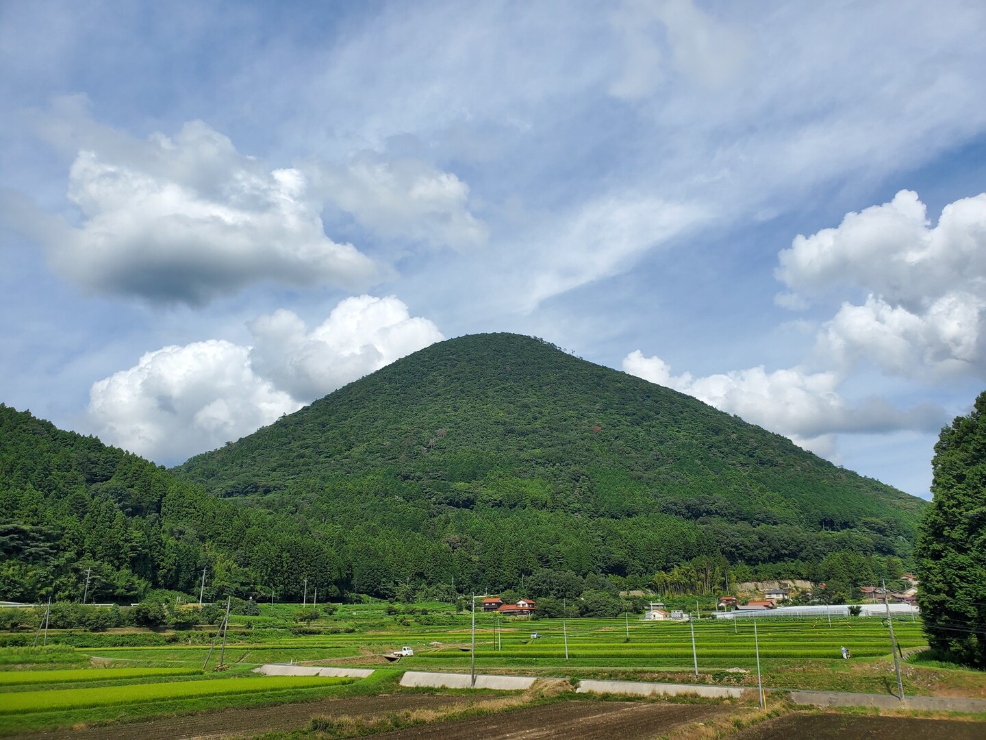 青野山 / C6248さんの青野山・奥山の活動データ YAMAP / ヤマップ