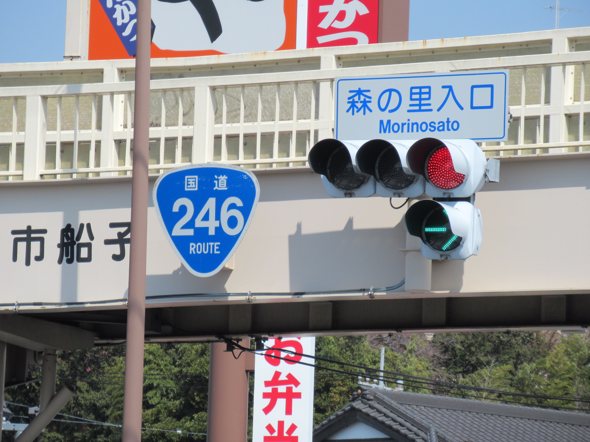 不動尻のミツマタ 自転車散歩🚴u200d / ryuyuさんの厚木市の活動日記 