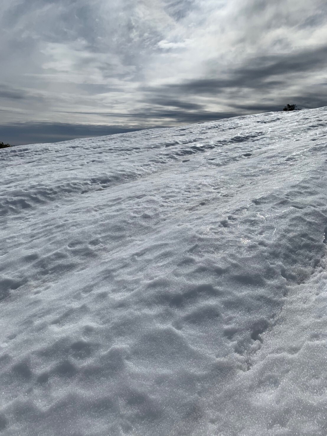 雪って重い氷ノ山 須賀ノ山 02 15 Mackyさんの氷ノ山 須賀ノ山 鉢伏山 瀞川山の活動データ Yamap ヤマップ