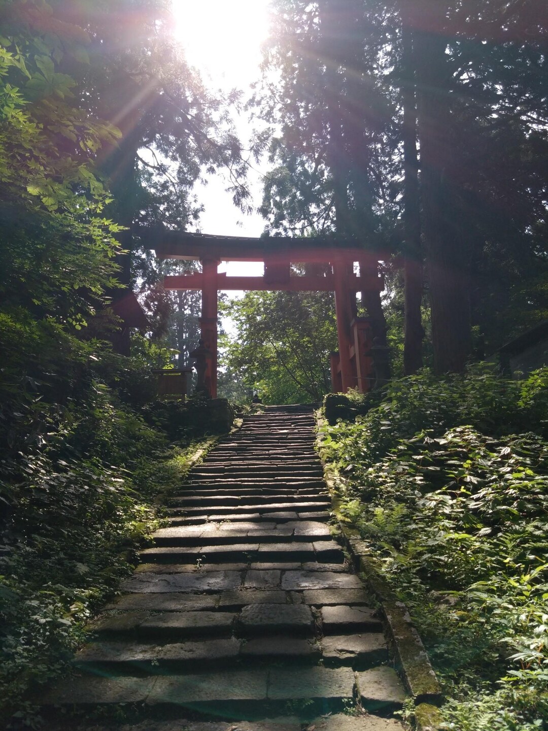 羽黒山 / 羽黒山の写真25枚目 YAMAP / ヤマップ
