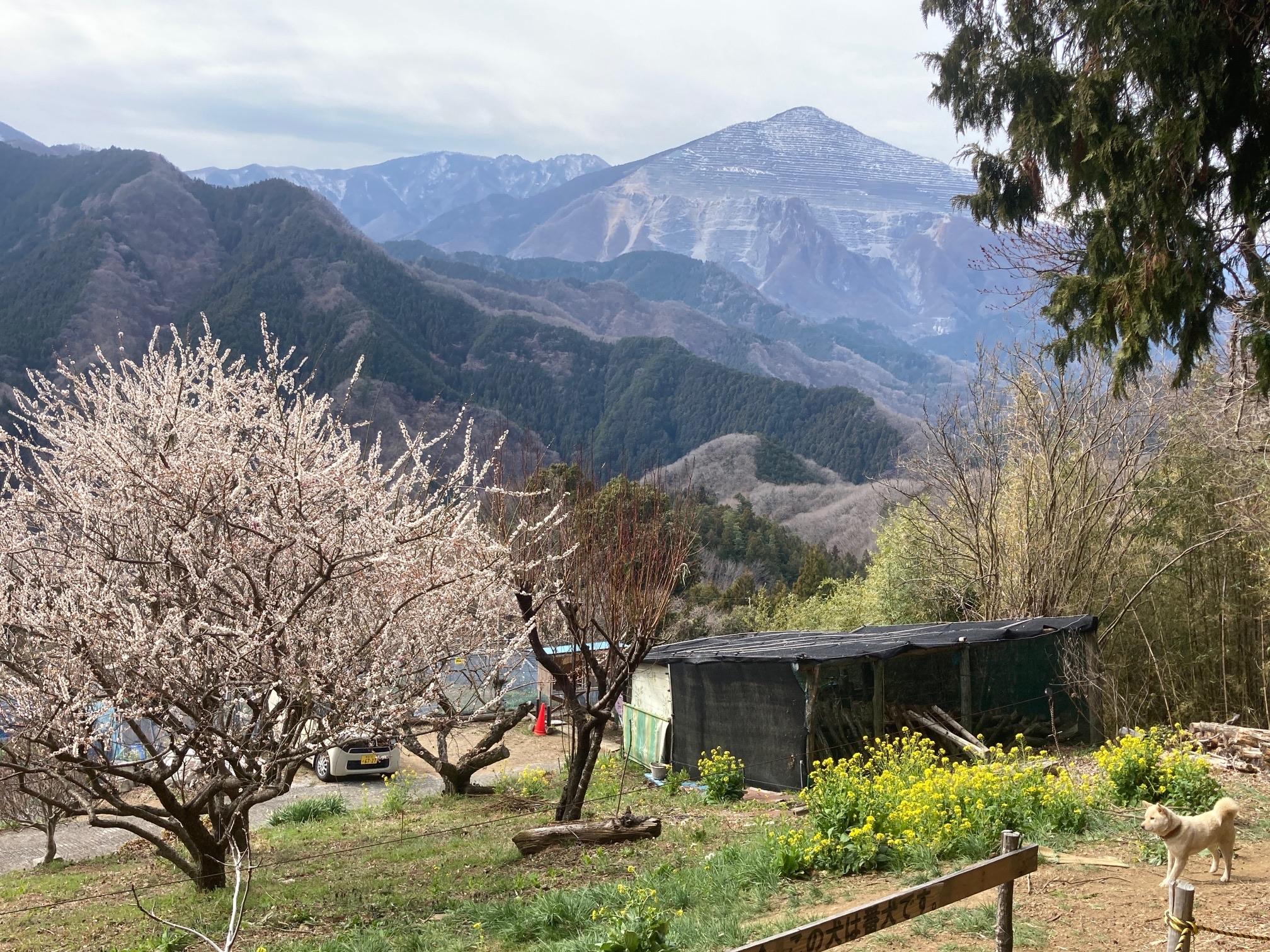 丸山 / てっちゃんさんの丸山の活動データ YAMAP / ヤマップ
