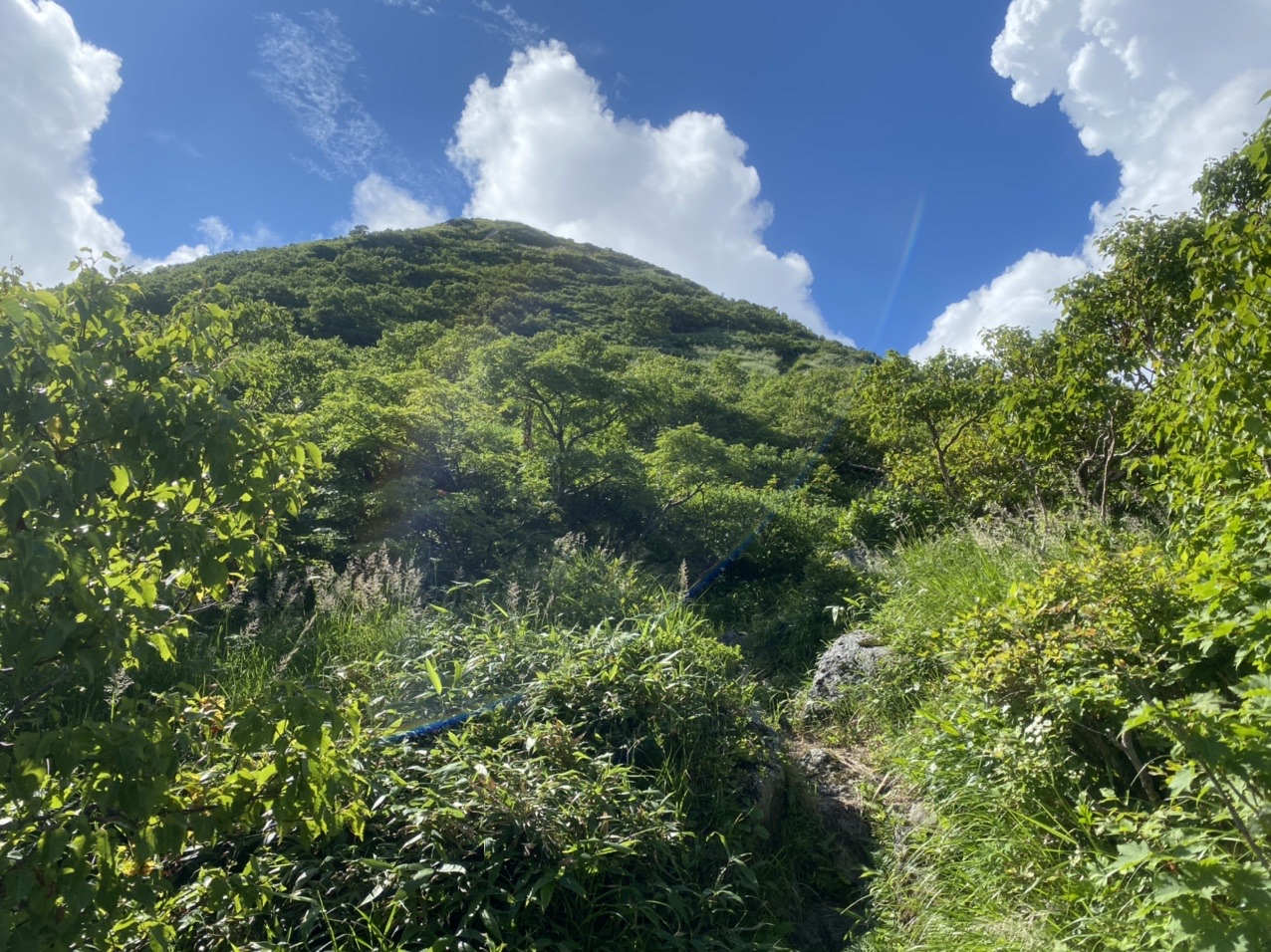 岩木山旧弥生コース じじさんの岩木山 岩鬼山 鳥海山 鍋森山の活動データ Yamap ヤマップ