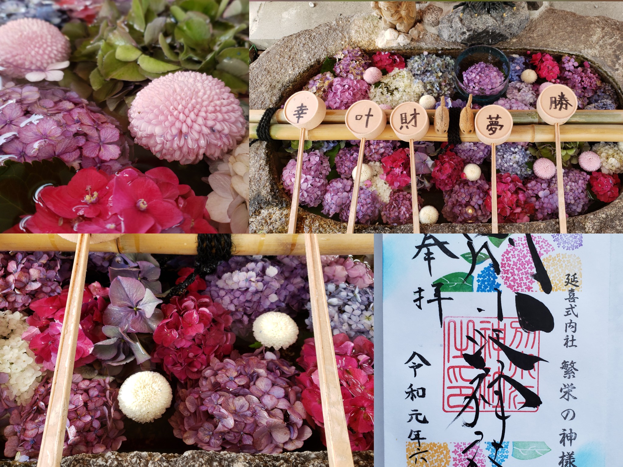 別小江 わけおえ 神社 の花手水と御朱印 19 06 23 うりやまさんの名古屋市の活動日記 Yamap ヤマップ