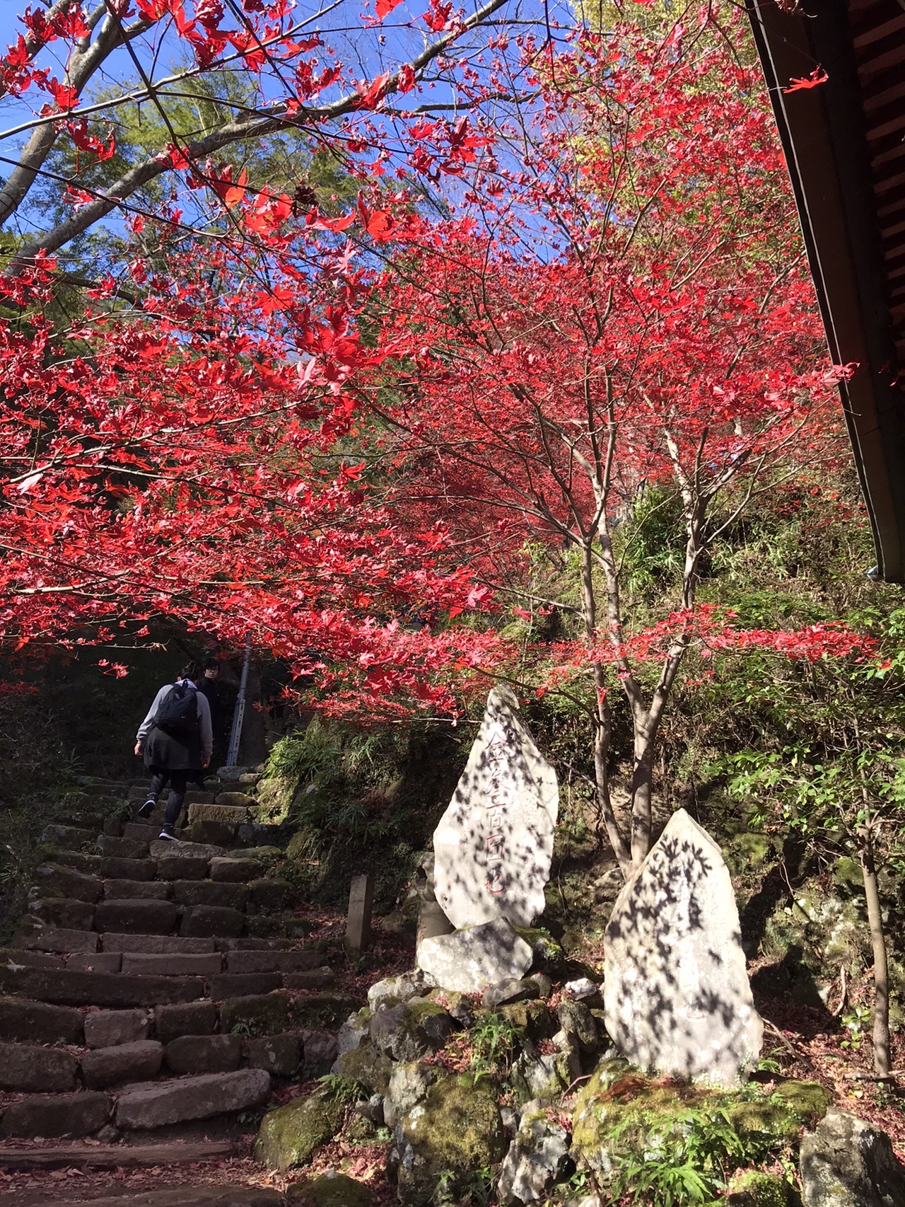紅葉の大山寺と富士山と雪と泥道と人 人 人の大山 神奈川県 19 11 30 とっくさんの大山の活動データ Yamap ヤマップ