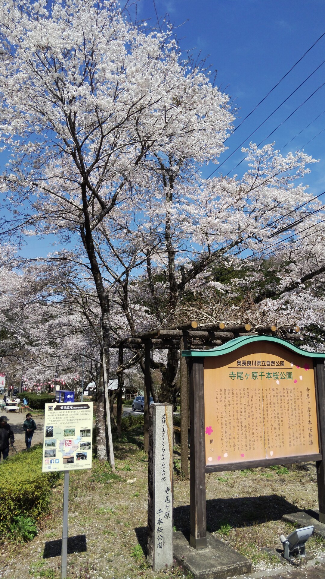 誕生山と寺尾千本桜 04 10 天王山 誕生山の写真44枚目 寺尾千本桜公園 駐車場に到着 少し歩 Yamap ヤマップ