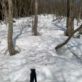 尖山 ありゃ、ちょい前の休憩で一時停止したままやったわ💦ここでログ飛んだことに気づく📱
こんなんあるから、昼飯タイム以外は押さんほうが良さそうやね🆖