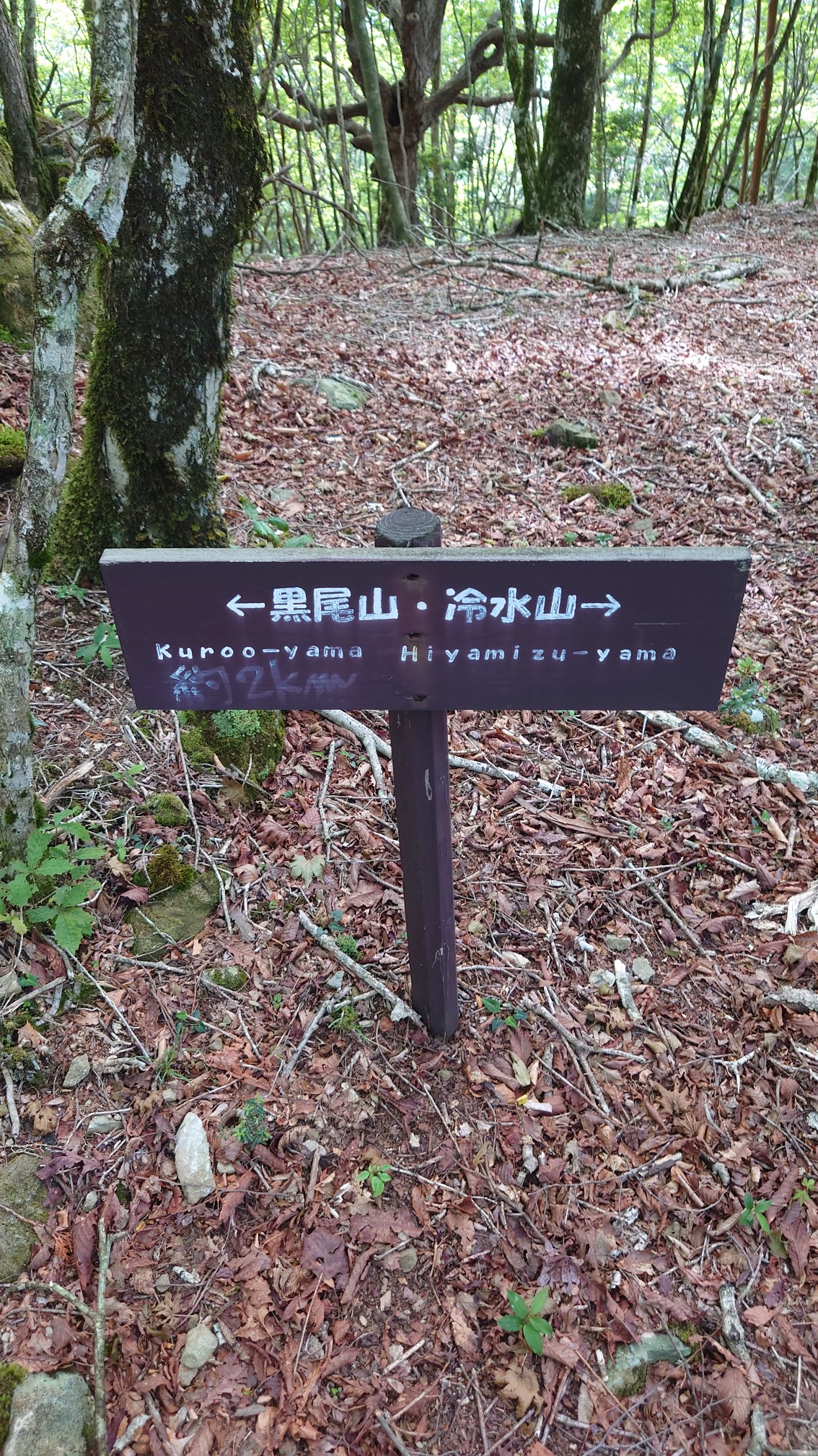 冷水山 黒尾山 Pop555さんの冷水山 百前森山 果無山の活動日記 Yamap ヤマップ
