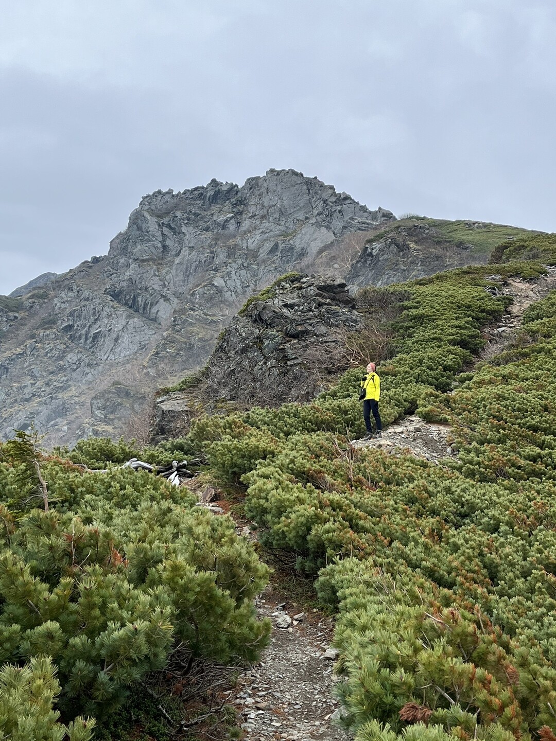 塩見岳（西峰・東峰） / 粟野宏一郎さんの塩見岳・権右衛門山・蝙蝠岳の活動データ YAMAP / ヤマップ