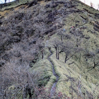 🚶‍♂️🚶‍♀️