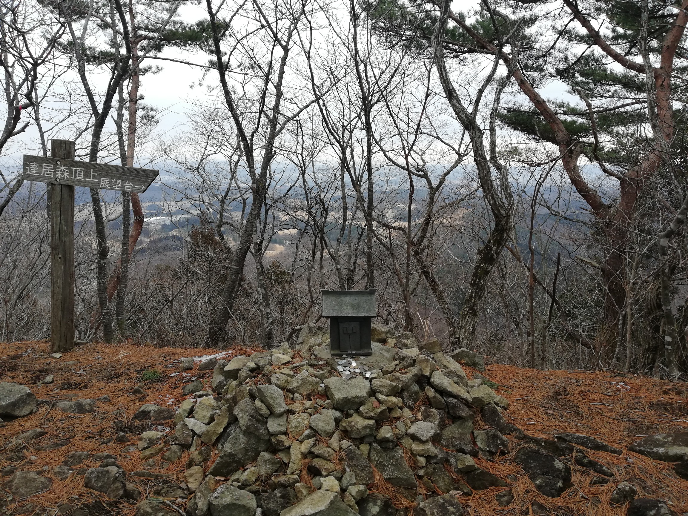 達居森 なんか登山っぽい