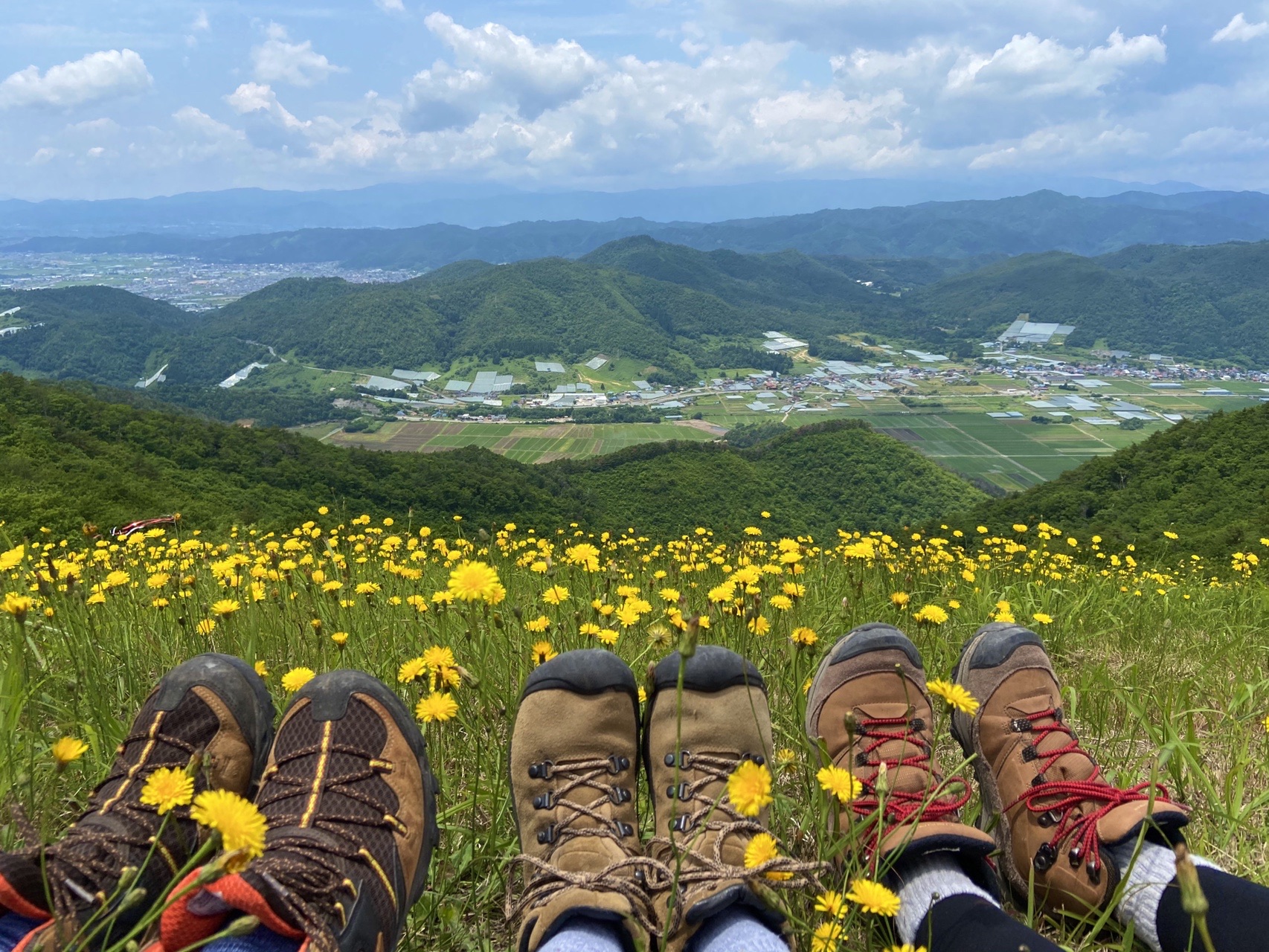 十分一山 高ツムジ山 まるさんの高ツムジ山 十分一山の活動データ Yamap ヤマップ