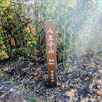 八王子山登頂！