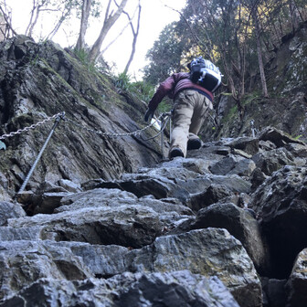 モンモンモン太