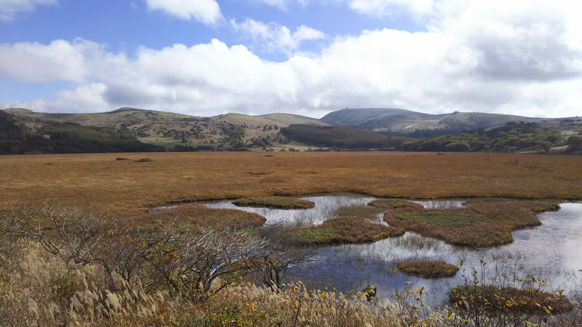 車山高原ヒルクライム と八島湿原の散策を楽しむ回 Hikarimono 休業中さんの霧ヶ峰 車山 大笹峰の活動データ Yamap ヤマップ