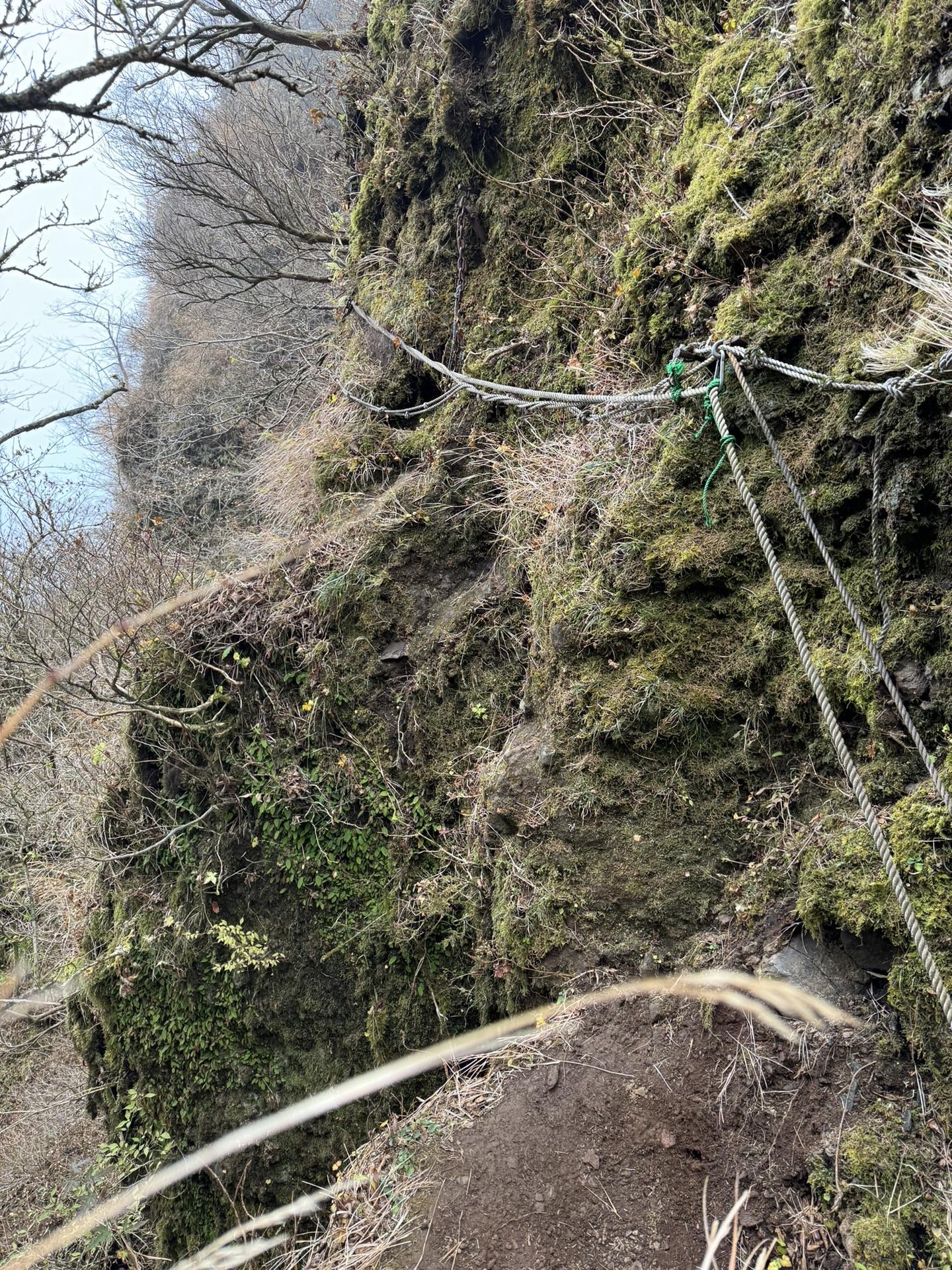 23.11.21 静岡最難関 鋸岳 入山禁止ルート トレラン / ヒロ