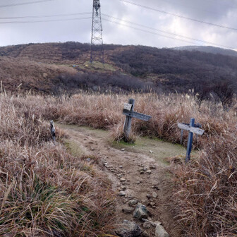 この分岐は左へカーブ