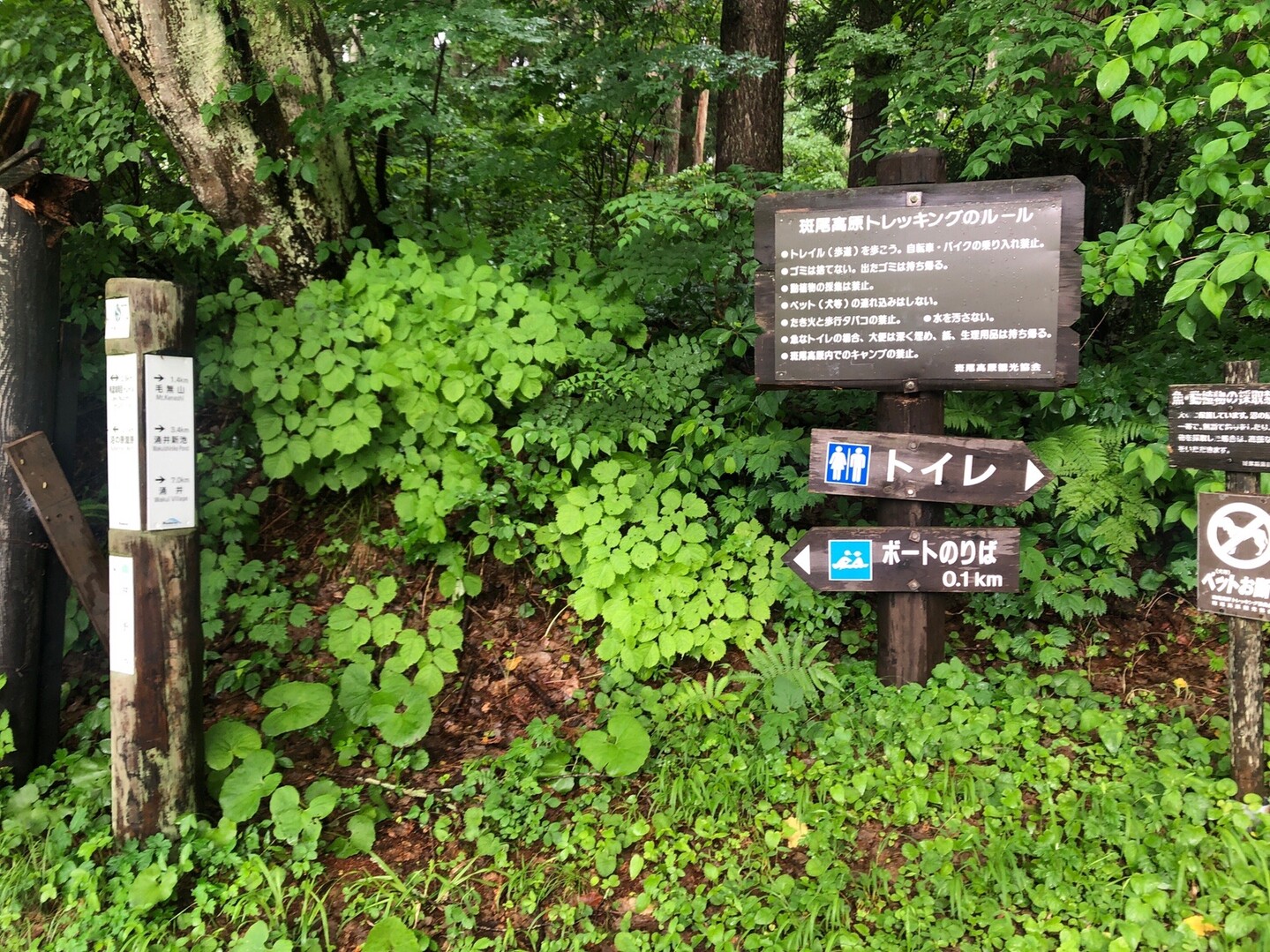 毛無山 大平峰 沼の原湿原 のりさんの斑尾山 信越トレイルその1 希望湖まで の活動日記 Yamap ヤマップ