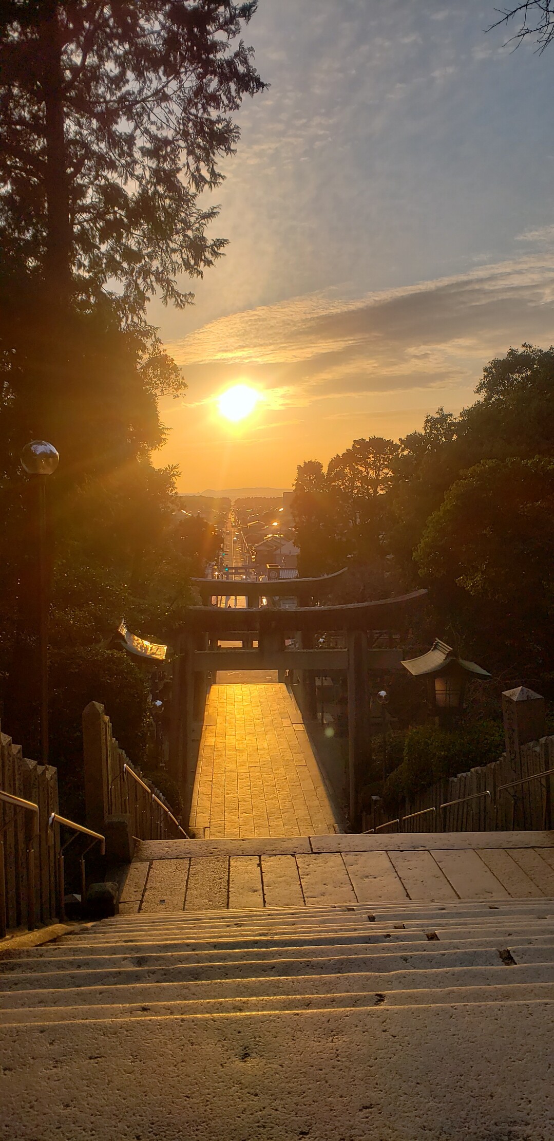 宮地嶽神社 光の道 03 04 こうちゃんさんの宮地山 在自山の活動日記 Yamap ヤマップ