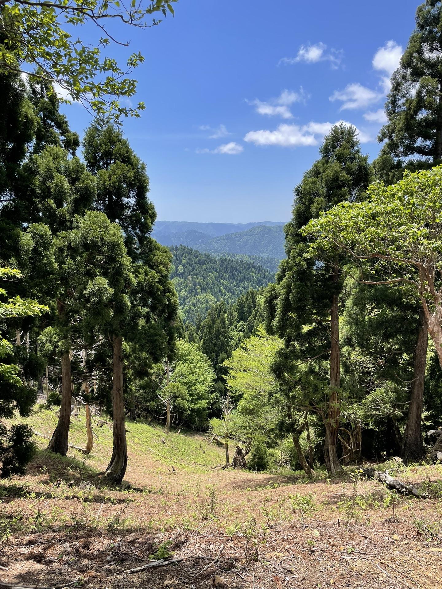 京都 フカンド山【京都労山100山】・光砥山・小野村割岳【京都労山100山】 / 尼崎のアルペンクレイマーさんの三国岳・経ヶ岳・小野村割岳の