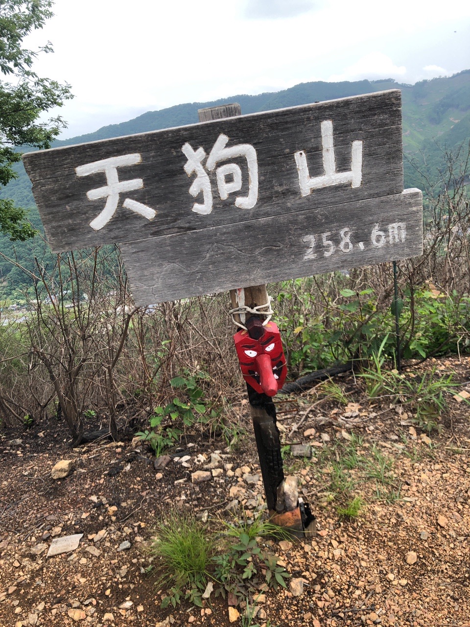 両崖山・仙人ヶ岳・石尊山 天狗山到着