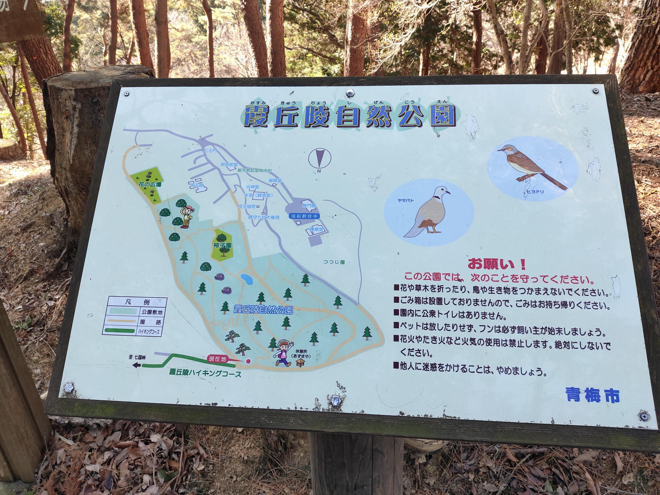 青梅丘陵から塩船観音寺 霞丘陵へ 高尾のkenさんの青梅市の活動日記 Yamap ヤマップ