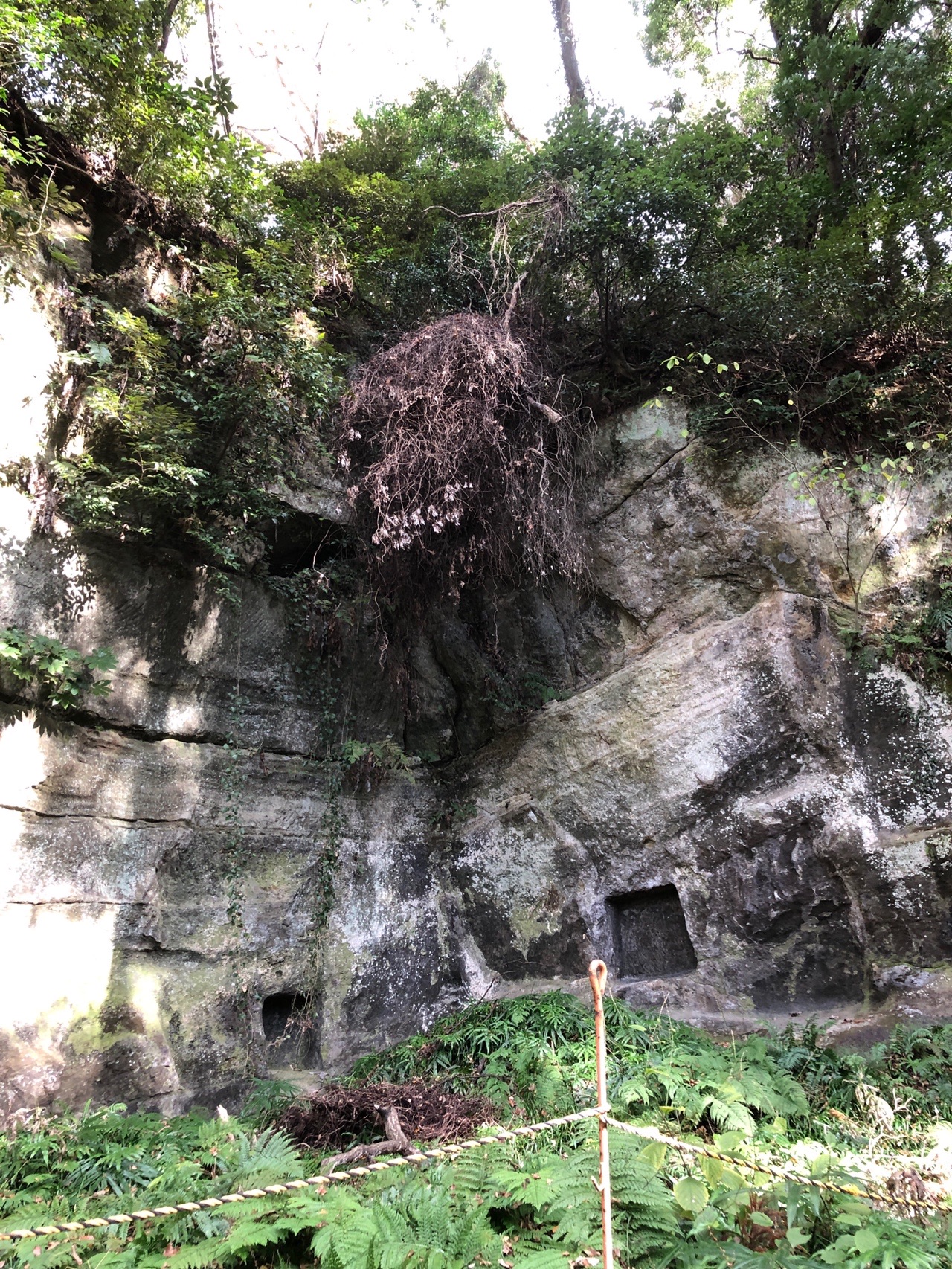 鎌倉アルプス 大仏切通から化粧坂 亀ヶ谷の切り通しへ あたりんさんの鎌倉アルプス 大平山 天台山 の活動日記 Yamap ヤマップ