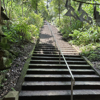 神社正面の長い階段を降りてパチリ📷
