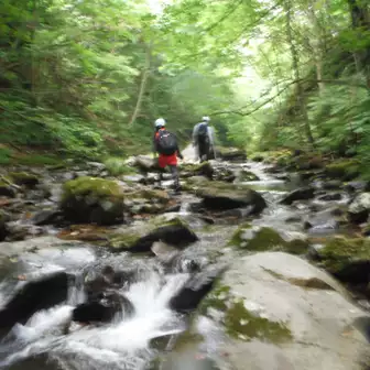 花山 沢歩き 2019 08 04 やすさんの大土ヶ森 御駒山の活動データ yamap ヤマップ