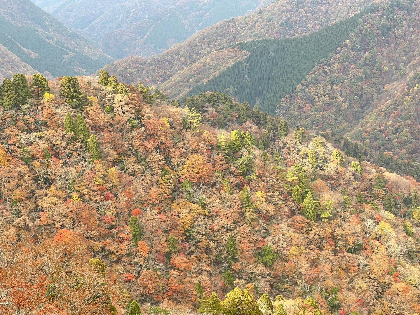 杉峠ノ頭・イブネ・タイジョウ / yuusukeさんの御在所岳（御在所山）・雨乞岳の活動データ YAMAP / ヤマップ
