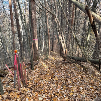 先への道はあるが
行き止まりなので戻る