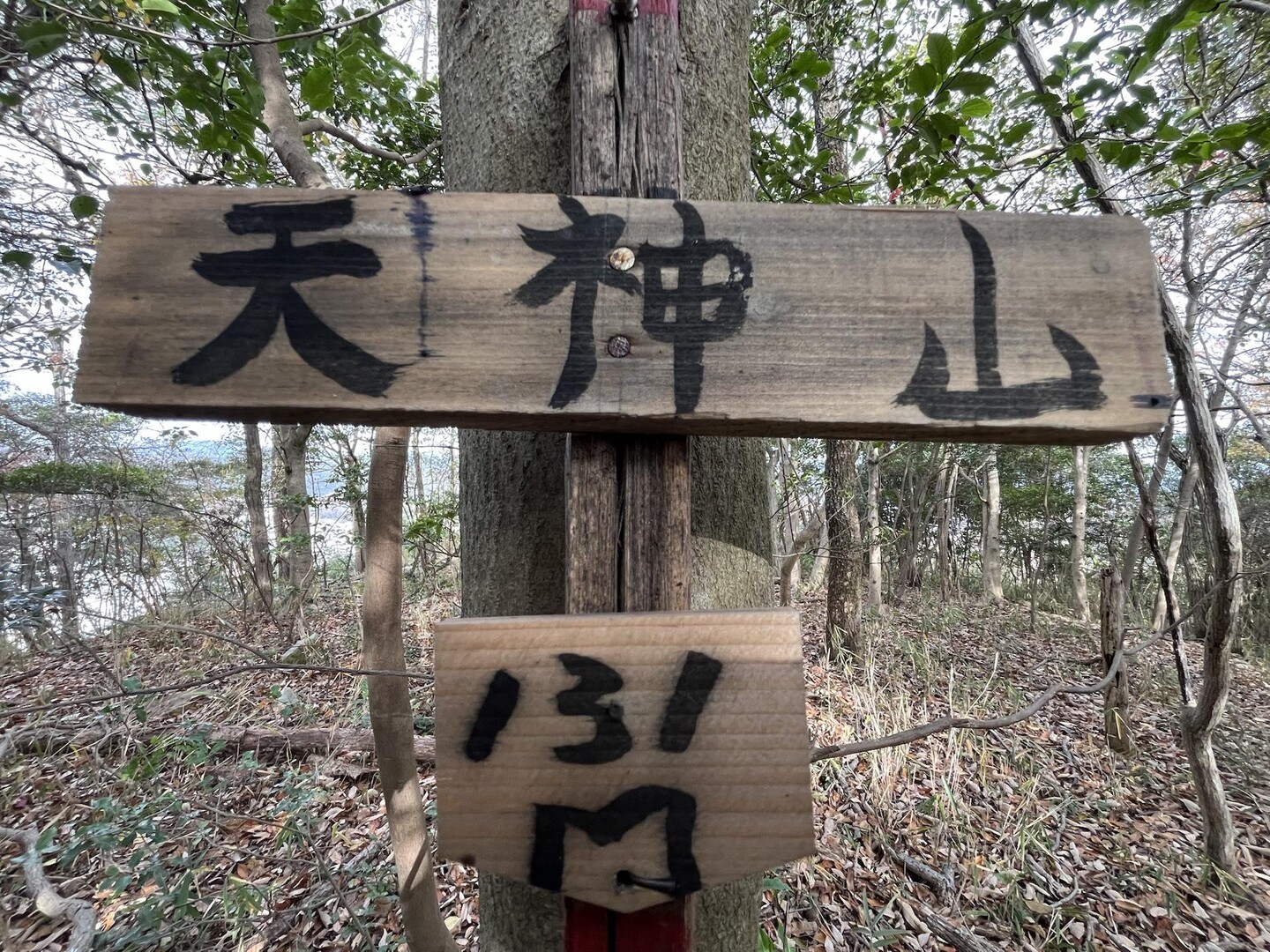 天神山 / ユーザーたつさんの天下台山・嫦峨山の活動データ | YAMAP / ヤマップ