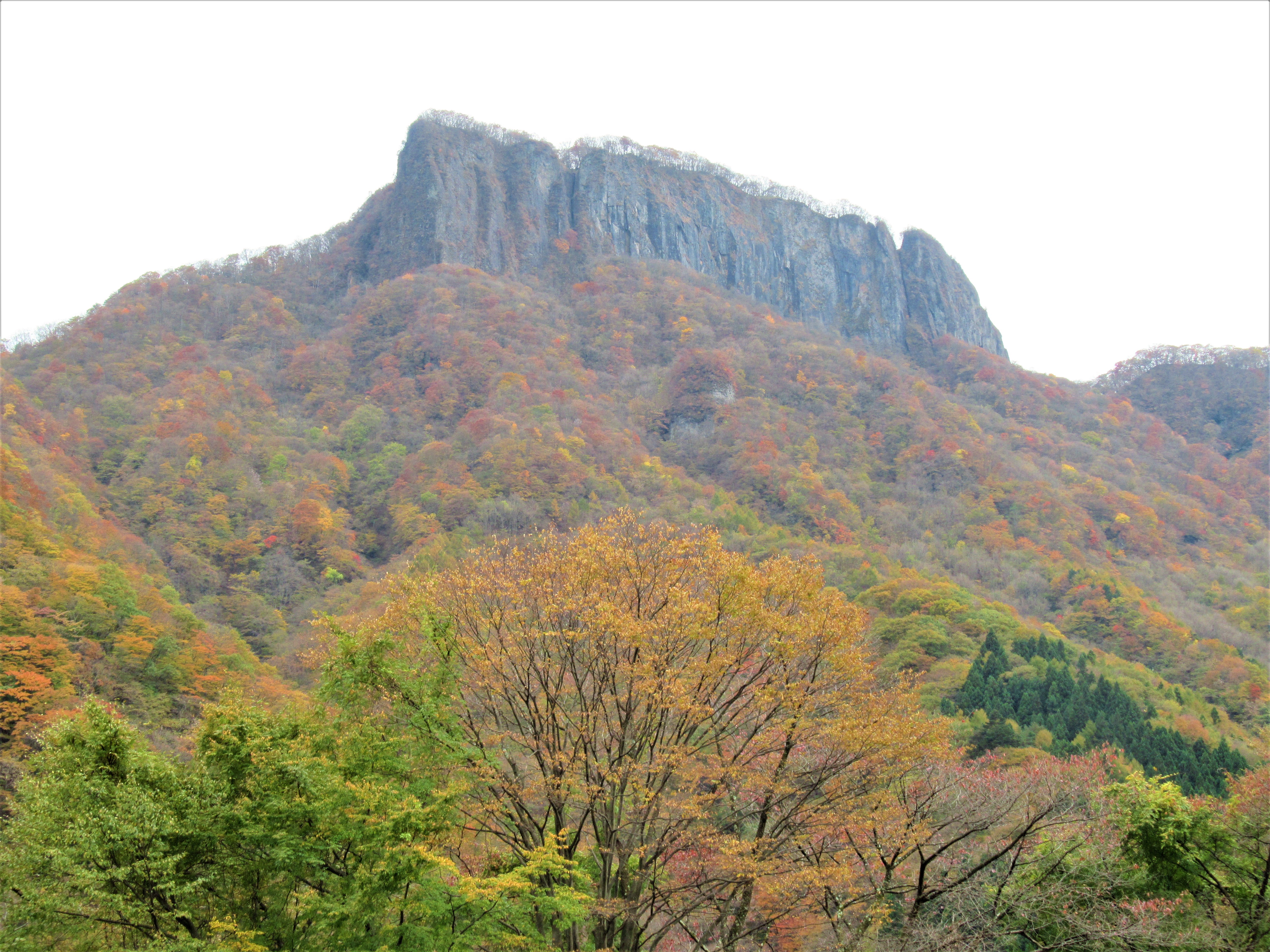 下仁田町 佐久市 荒船山 内山峠 荒船不動 Itachoさんの荒船山 物語山 大屋山の活動データ Yamap ヤマップ