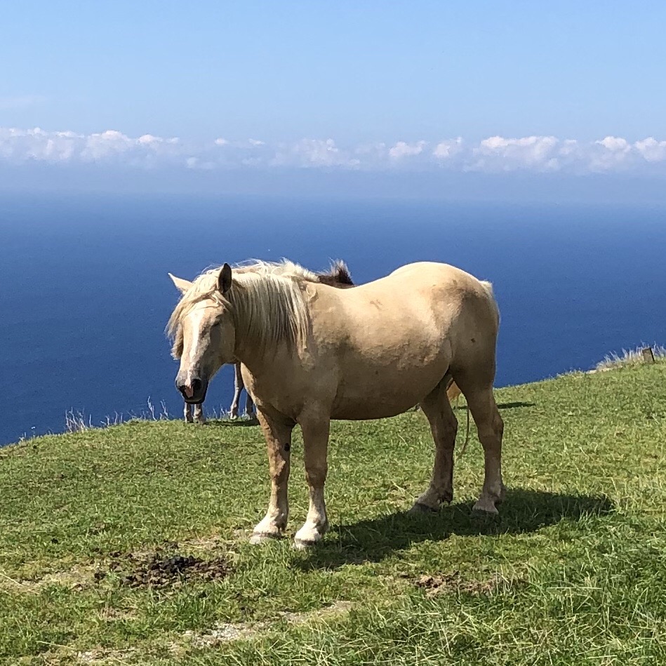 汐首山 Okunekoさんの汐首山の活動日記 Yamap ヤマップ