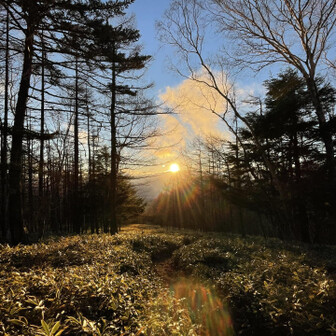 振り向いて日の出