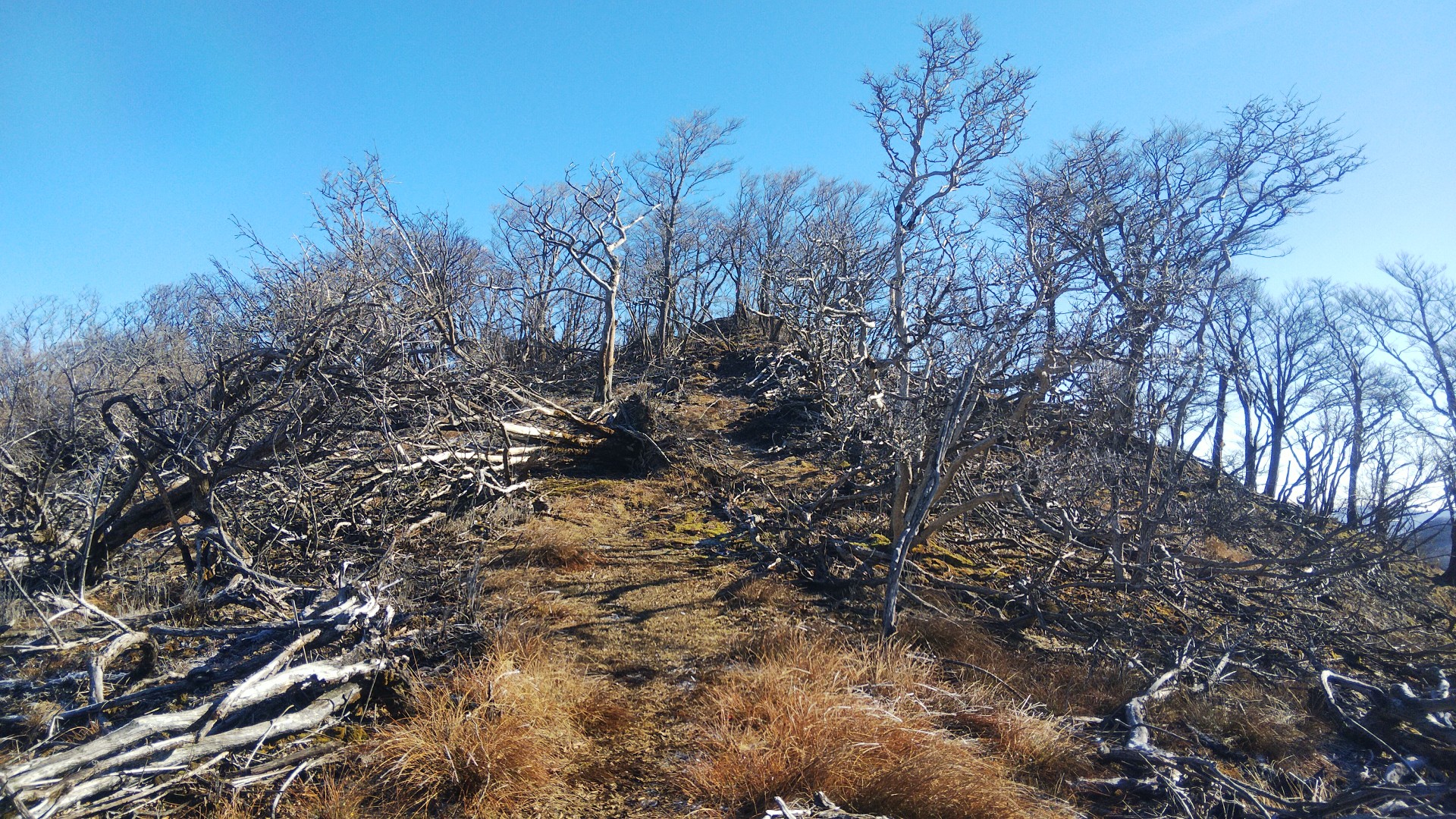 親父山 障子岳 黒岳 三尖山 素敵な稜線歩き ちょみさんの祖母山の活動日記 Yamap ヤマップ