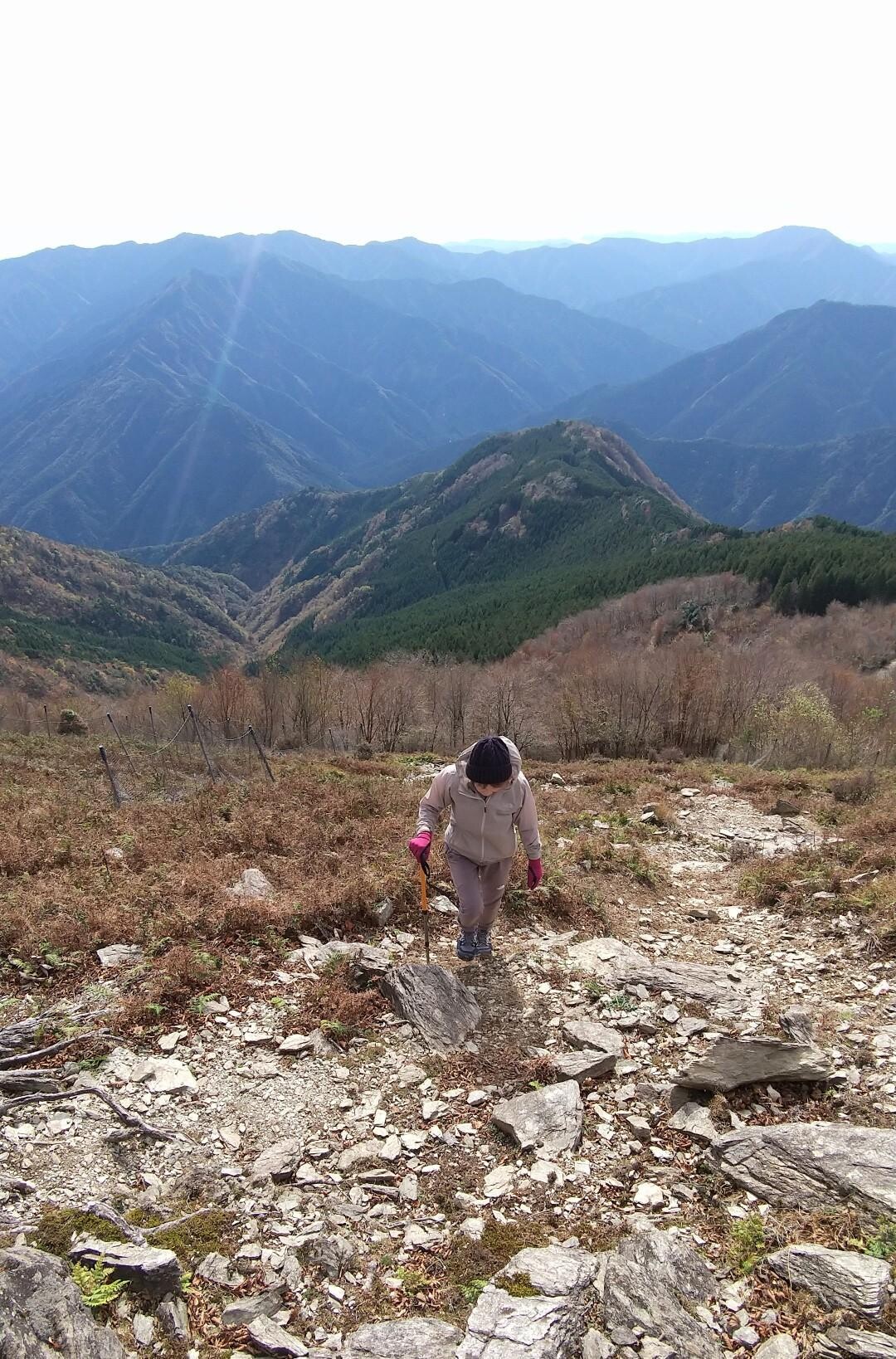 迷岳 八知山林道から / 誠一さんの迷岳・白倉山・古ヶ丸山の活動データ | YAMAP / ヤマップ