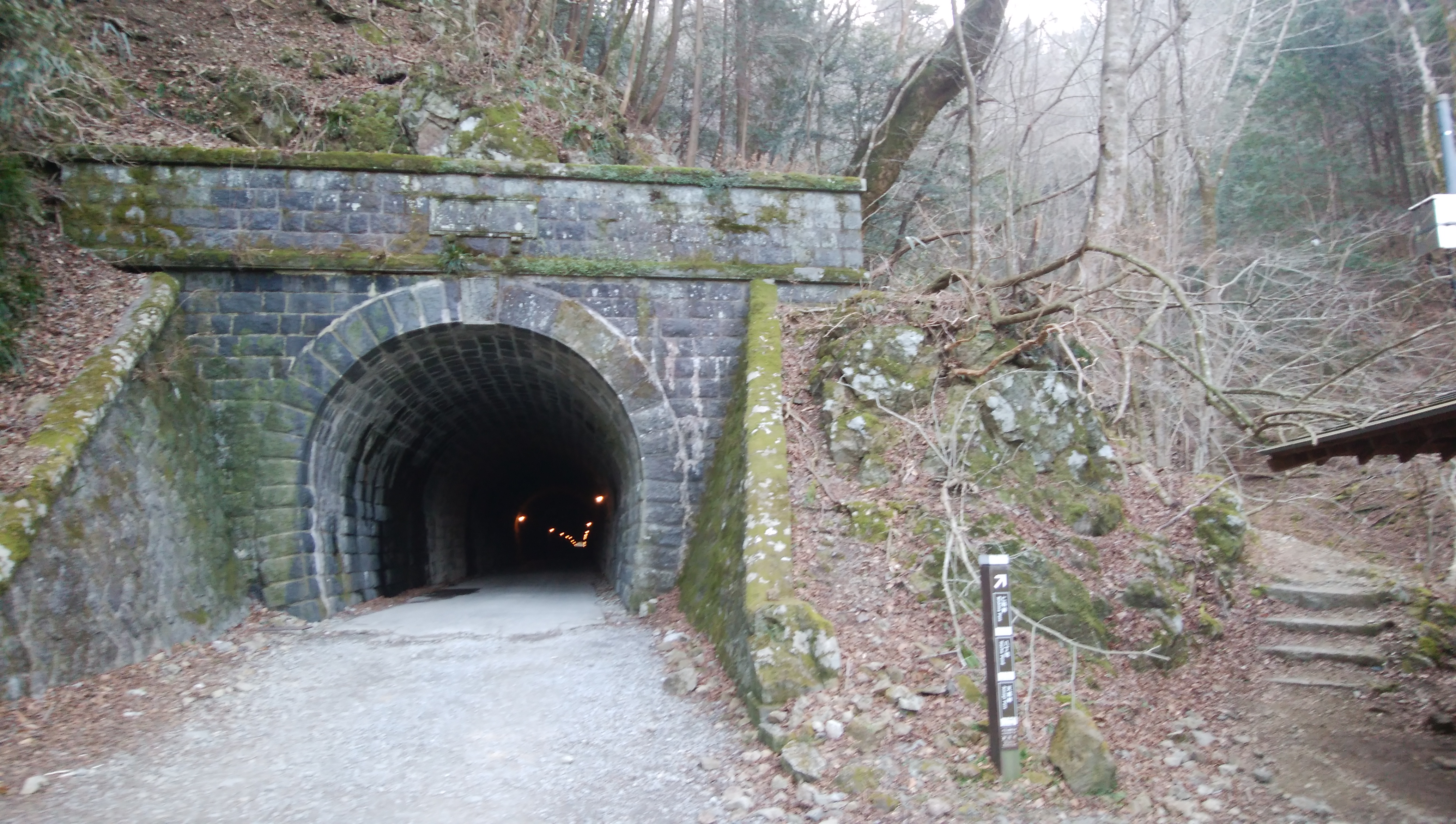 三蓋山 旧天城トンネル ヒロ三島さんの金冠山 達磨山 葛城山の活動日記 Yamap ヤマップ