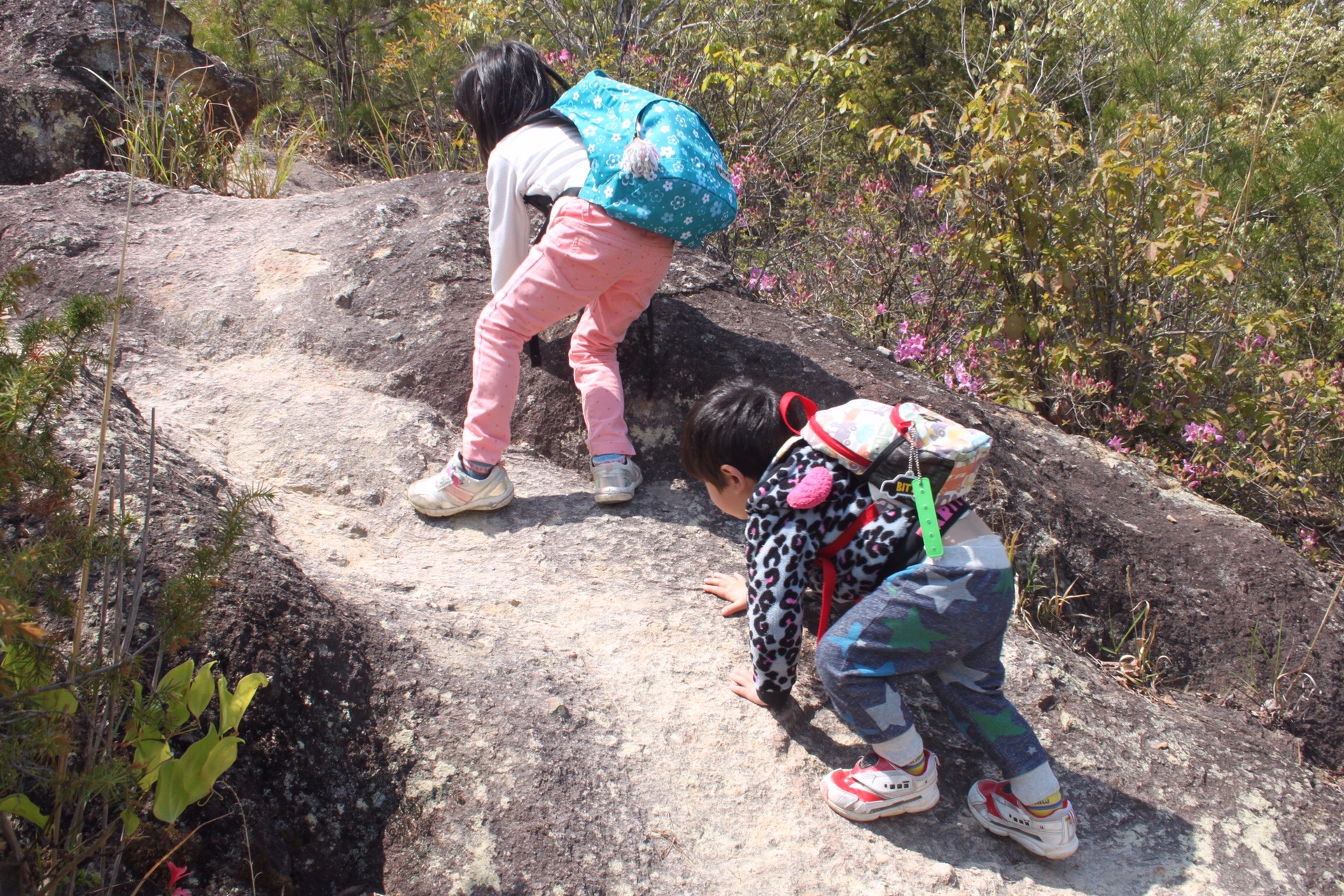 ハイキング加西アルプス 笠松山 兵庫県 善防山 04 24 Mackyさんの加西アルプス 笠松山 兵庫県 善防山の活動データ Yamap ヤマップ