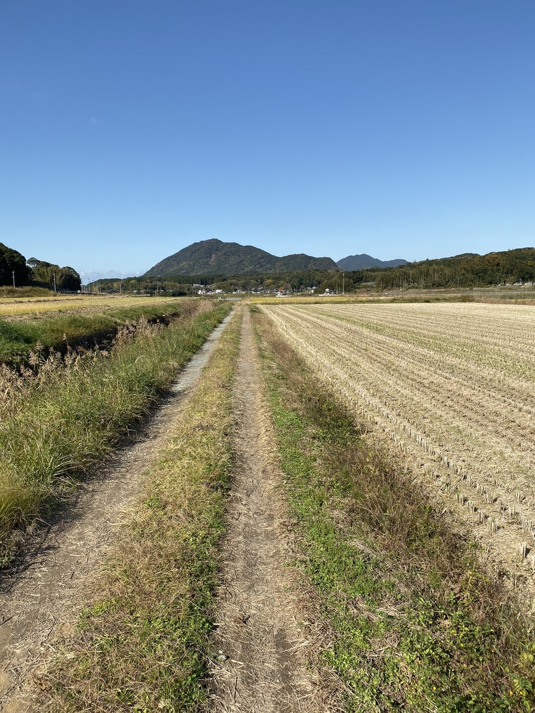 残念無念の里山縦走 新立山 権現山 回目 西尾谷山 七ヶ谷山 雨ヶ頭山 堤ヶ谷山 豊前坊山 古月山 鶺鴒山 19 11 26 リョー ジーンさんの新立山 権現山 城ヶ浦山 大平山 宗像市 の活動日記 Yamap ヤマップ