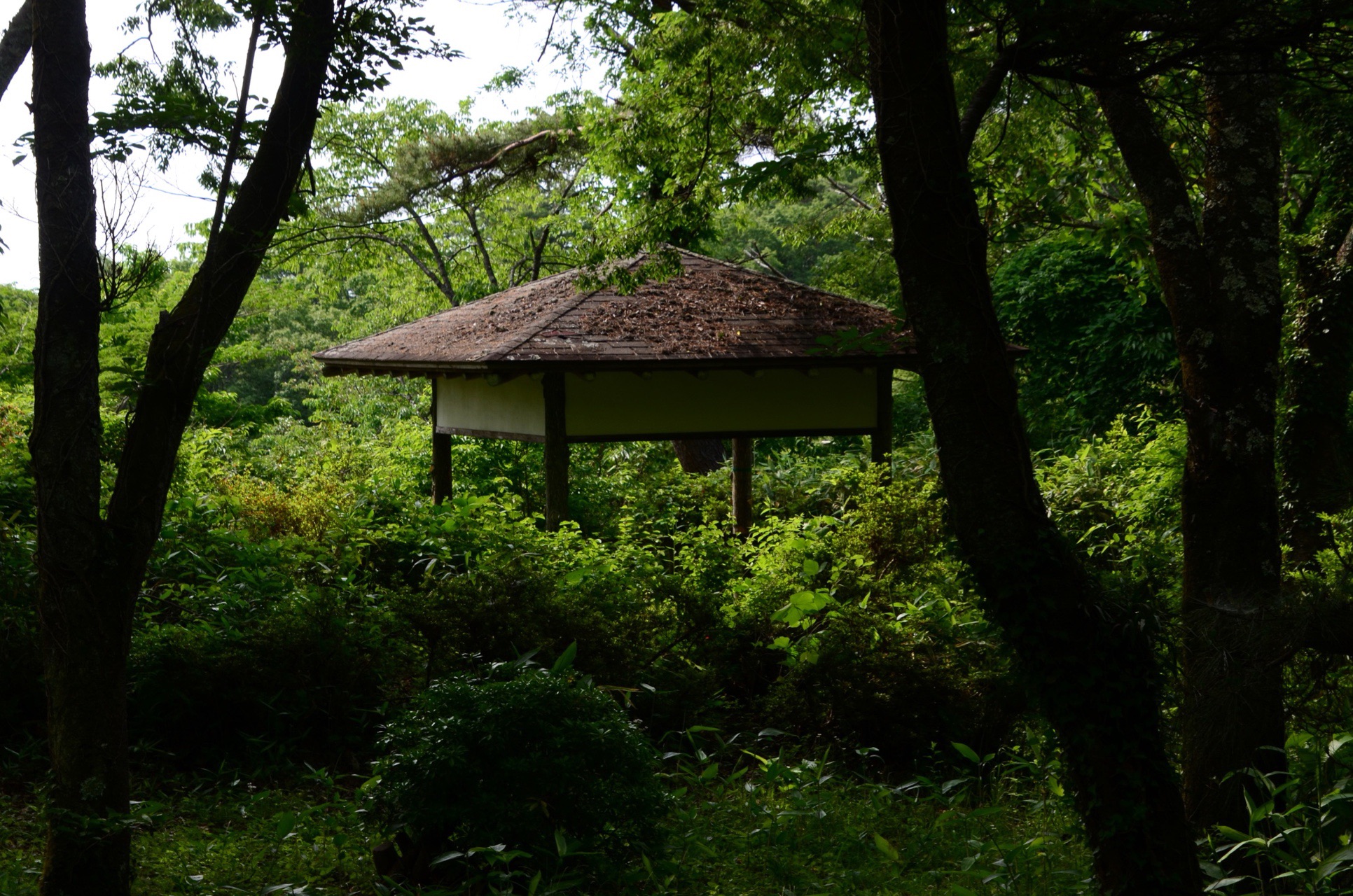 遊歩道を行くー絹谷富士 いわき市 やまぼうしさんのいわき市の活動データ Yamap ヤマップ