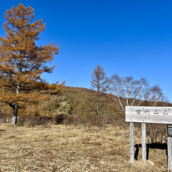 富士山と反対側もゴールドが見事
