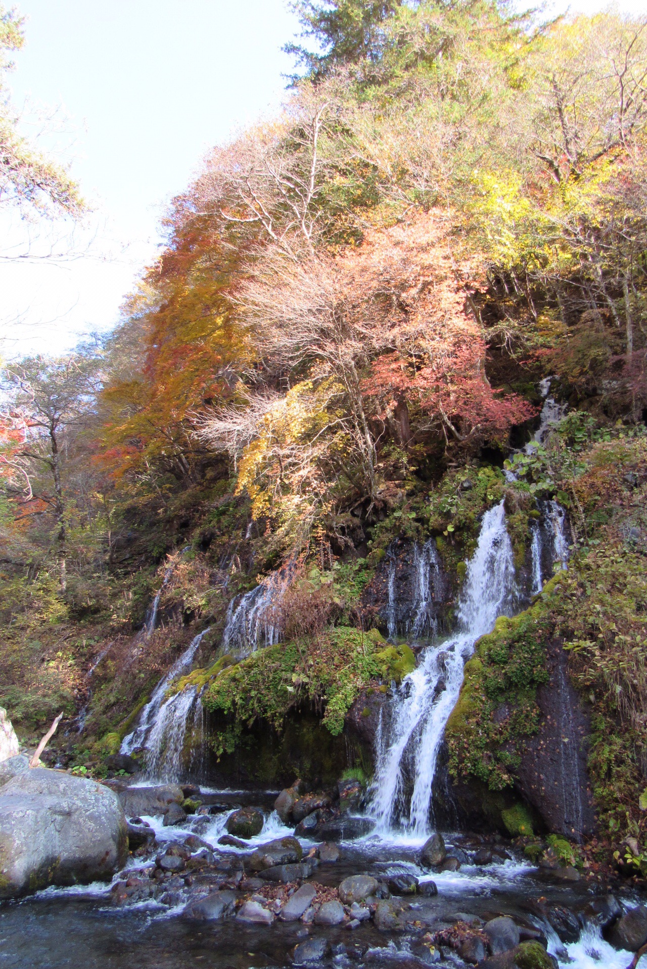川俣川渓谷 吐竜の滝 10 31 Niwataさんの飯盛山の活動データ Yamap ヤマップ