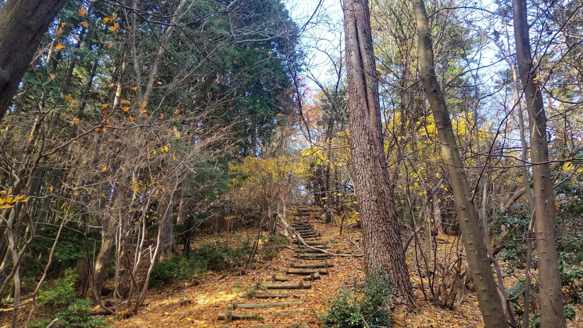 妙法ヶ岳 / santakaさんの妙法ヶ岳・華厳寺の活動データ YAMAP / ヤマップ