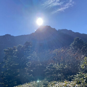 世界のヤマさん