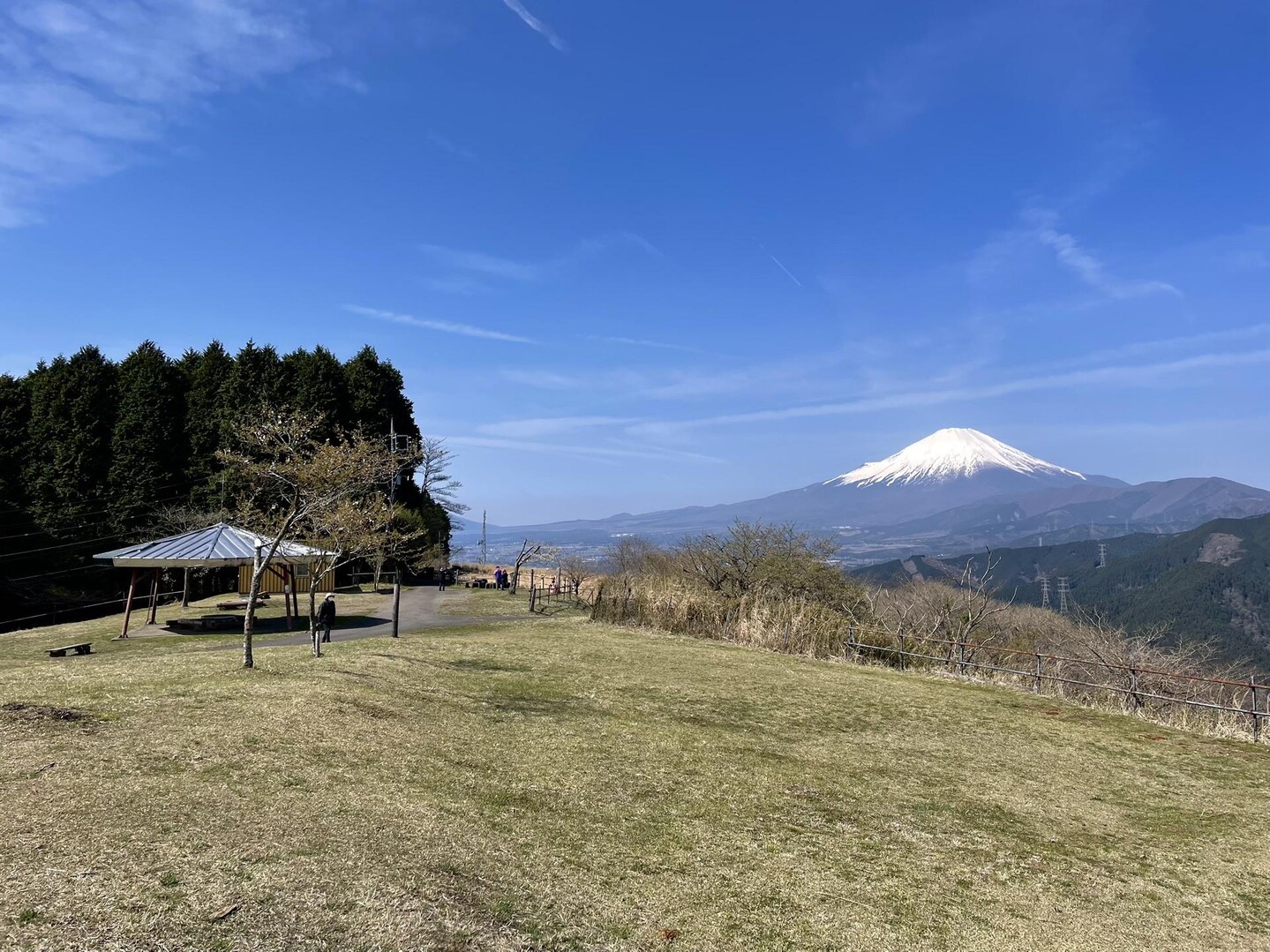大野山（神奈川） / manamiさんの高松山・大野山の活動データ YAMAP / ヤマップ