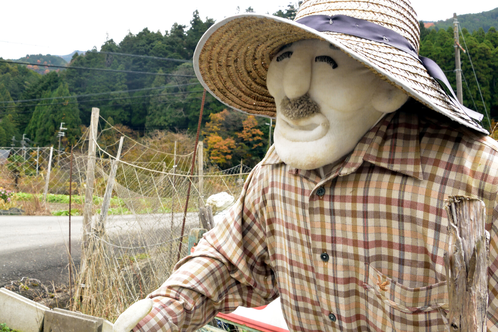 やまっぽのページ Yamap ヤマップ
